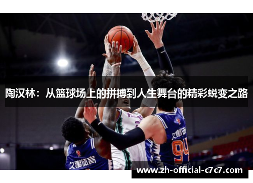 陶汉林：从篮球场上的拼搏到人生舞台的精彩蜕变之路